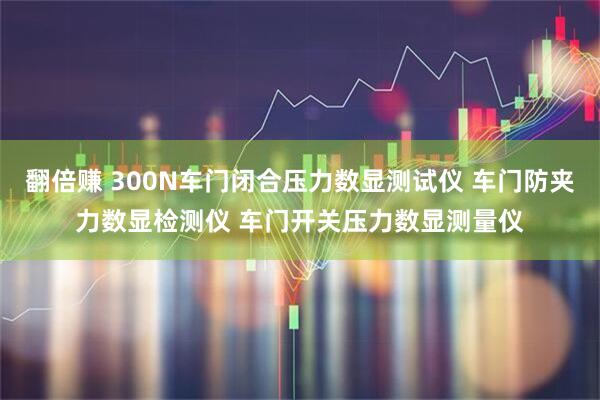 翻倍赚 300N车门闭合压力数显测试仪 车门防夹力数显检测仪 车门开关压力数显测量仪