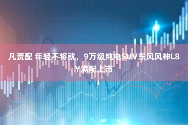 凡资配 年轻不将就，9万级纯电SUV东风风神L8Y满配上市